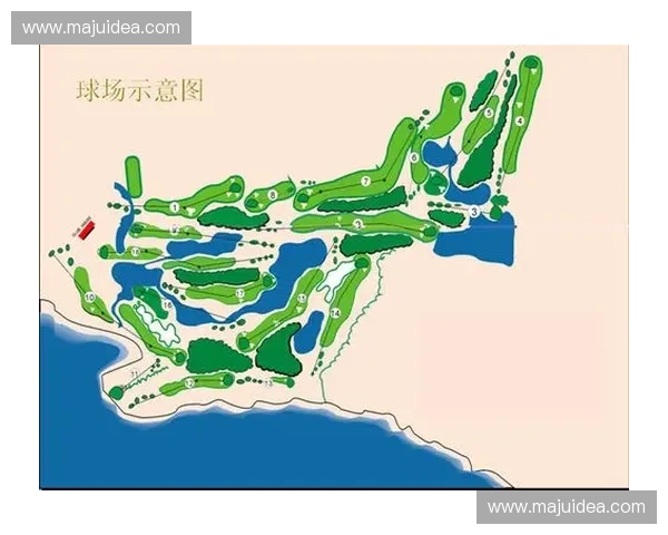 球场维护刷使用技巧与高效清洁方案全面解析